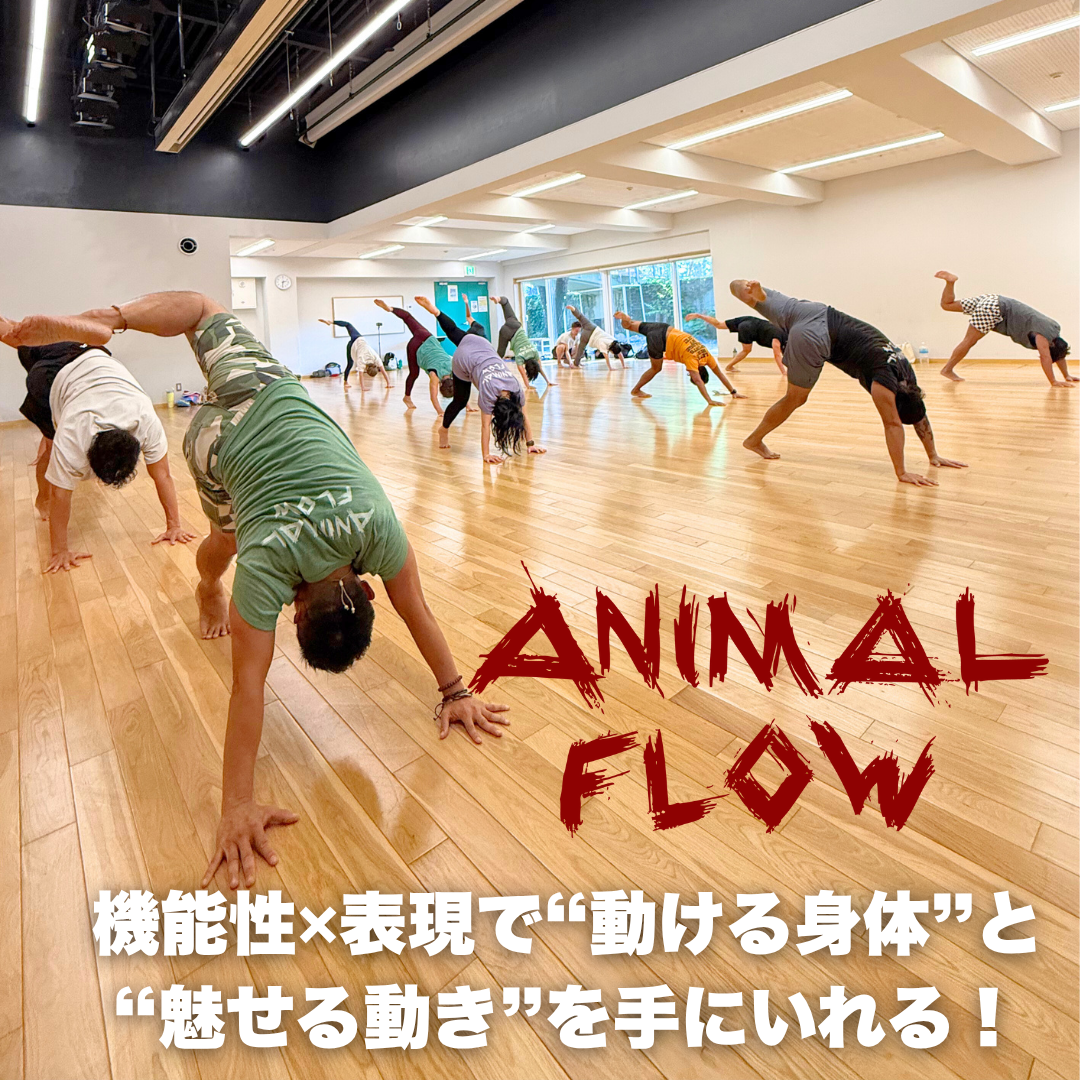 少ない時間で3倍効く！最強時短トレーニングアニマルフロー